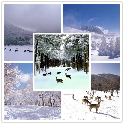 11月至2月，汉拿山上下山时间调整