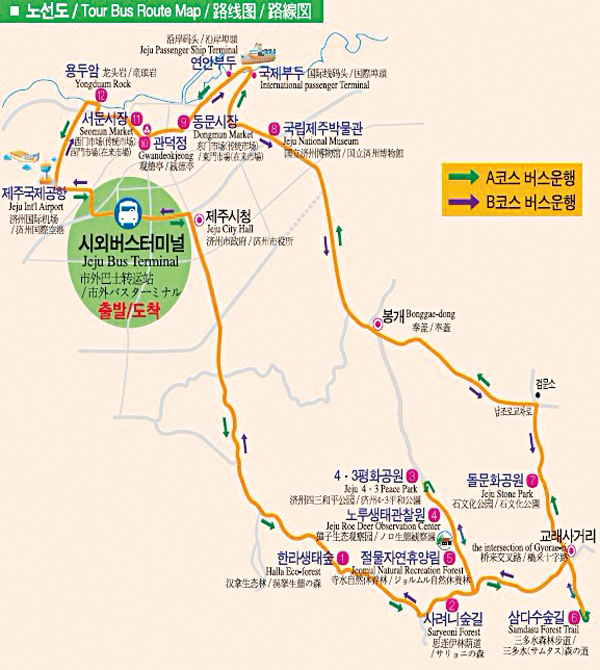 济州市观光巴士今年3月至11月运行