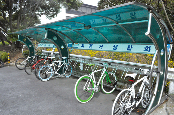 济州岛骑行环境日益改善