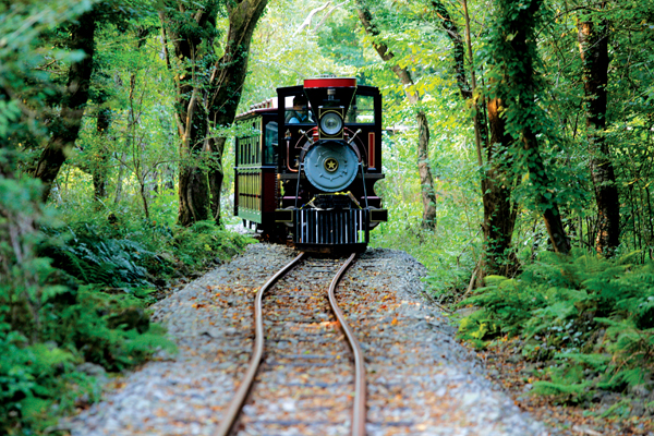 树林中的火车旅行——生态主题公园