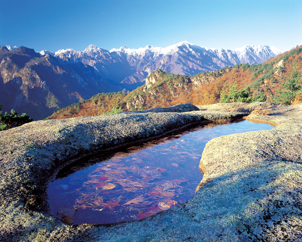 韩国的五大“世界生物圈保护区”