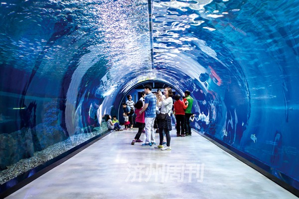 体验不一样的海底世界，韩华济州水族馆