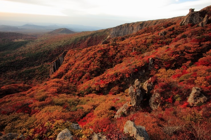 汉拿山红叶本月下旬将达到红叶观赏高峰期